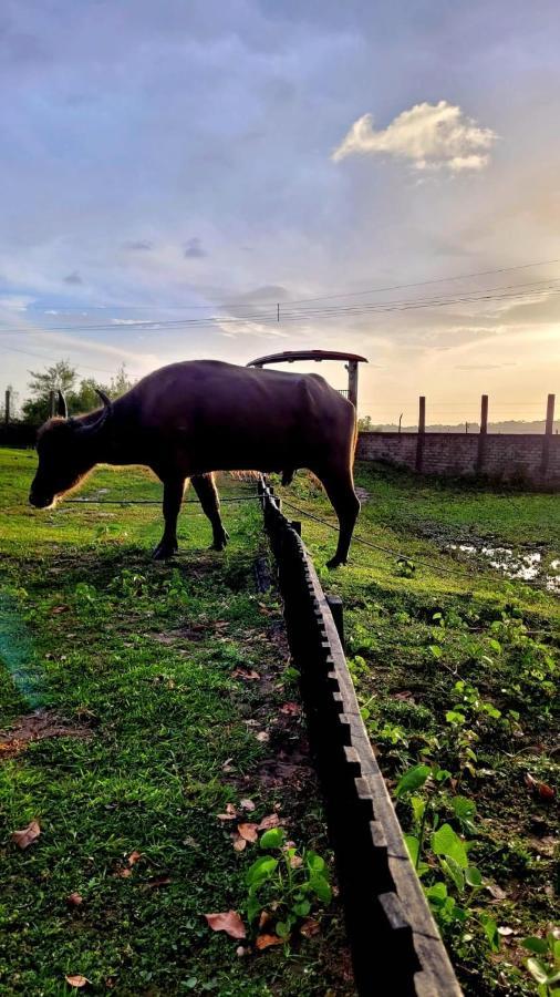 Pousada Marajoara- Hotel Fazenda-Turismo De Aventura Soure Bagian luar foto