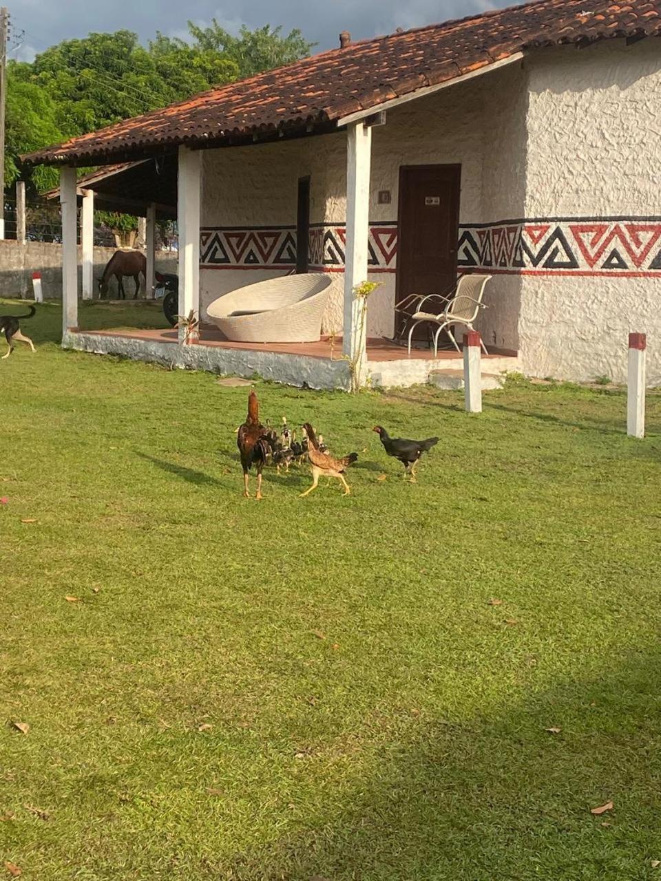 Pousada Marajoara- Hotel Fazenda-Turismo De Aventura Soure Bagian luar foto
